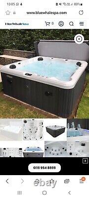 Blue Whale Spa Olive Bay 54-Jet 6 Person Hot Tub
