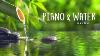 Relaxing Piano Music U0026 Water Sounds 24 7 Ideal For Stress Relief And Healing