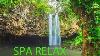 Relaxing Spa Music Meditation Healing Stress Relief Sleep Music Yoga Sleep Zen Spa 277